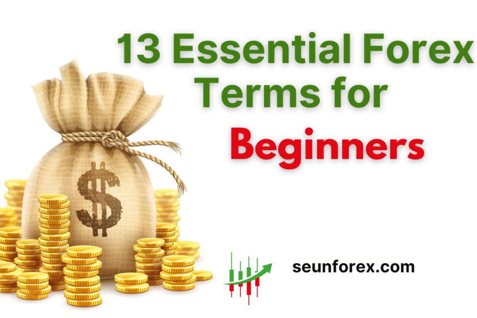 Forex Trading Terms for Beginners | Learn Pips