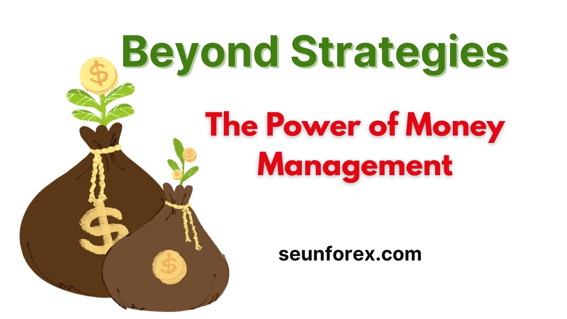 The Hidden Edge: Why Money Management Outlasts Trading Systems